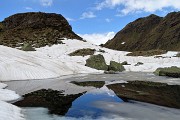 Primavera al Monte Campo con distese di crocus e al Laghetto di Pietra Quadra in progressivo disgelo il 24 maggio 2018 - FOTOGALLERY